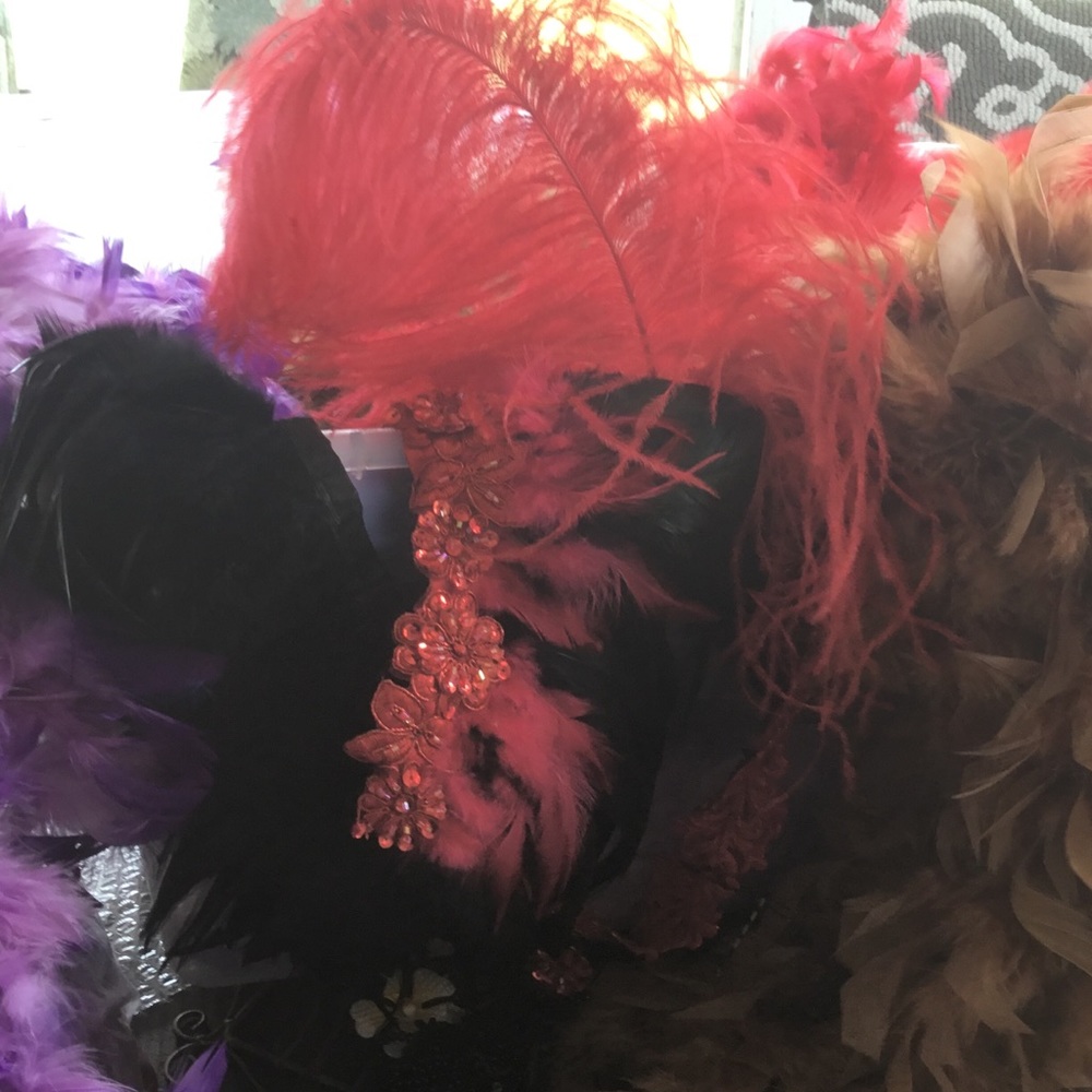 Masks n boas - Picture 5 of 5